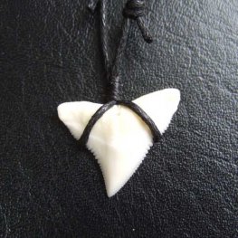 【表示現品】1.9cm オオメジロザメの歯ペンダント - BLN-12061  【表示現品】1.9cm オオメジロザメの歯ペンダント - BLN-12061