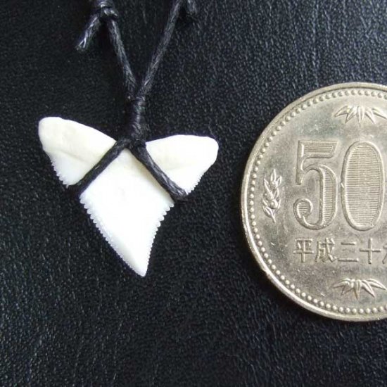 【表示現品】1.9cm オオメジロザメの歯ペンダント - BLN-12061