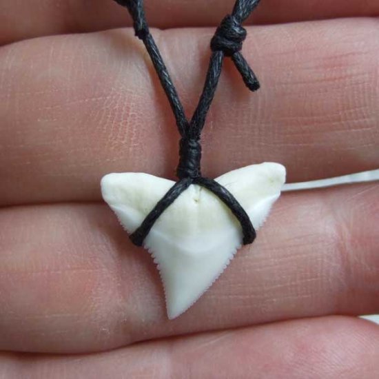 【表示現品】1.9cm オオメジロザメの歯ペンダント - BLN-12061