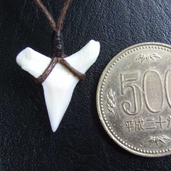 【表示現品】1.9.cm オオメジロザメの歯シンプルペンダント - BLN-12062