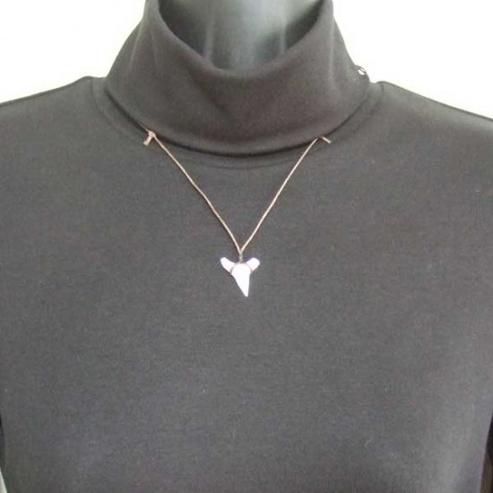 【表示現品】1.9.cm オオメジロザメの歯シンプルペンダント - BLN-12062