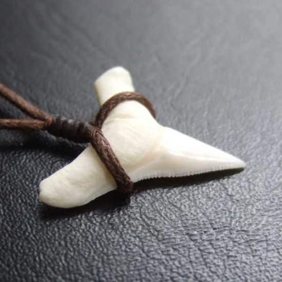 【表示現品】1.9.cm オオメジロザメの歯シンプルペンダント - BLN-12062