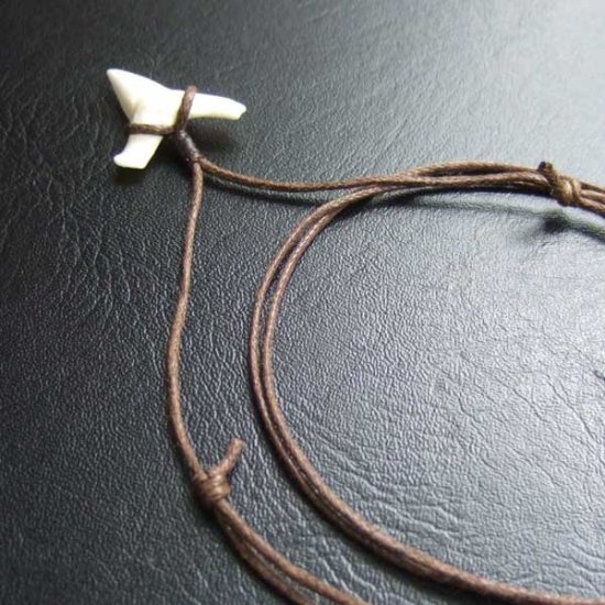 【表示現品】1.9.cm オオメジロザメの歯シンプルペンダント - BLN-12062