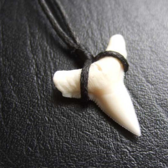 【表示現品】1.9.cm オオメジロザメの歯シンプルペンダント - BLN-12063