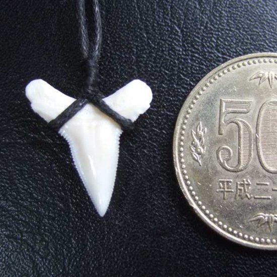 【表示現品】1.9.cm オオメジロザメの歯シンプルペンダント - BLN-12063