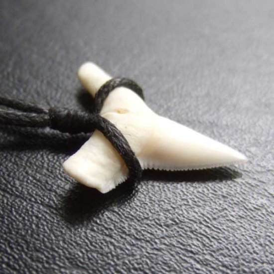 【表示現品】1.9.cm オオメジロザメの歯シンプルペンダント - BLN-12063