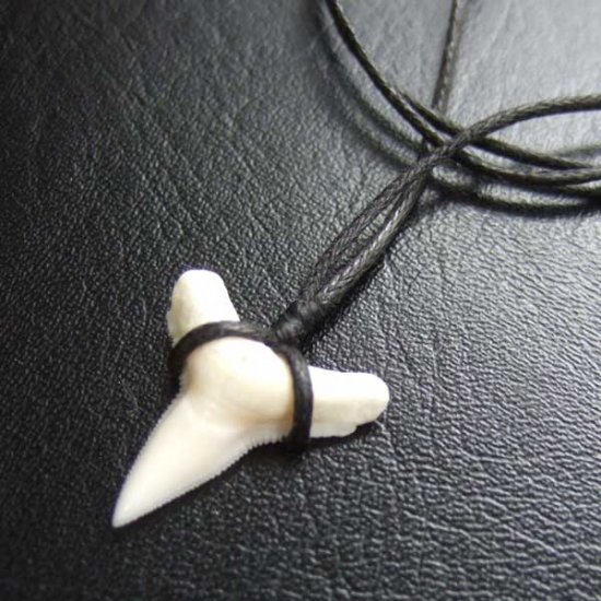 【表示現品】1.9.cm オオメジロザメの歯シンプルペンダント - BLN-12063