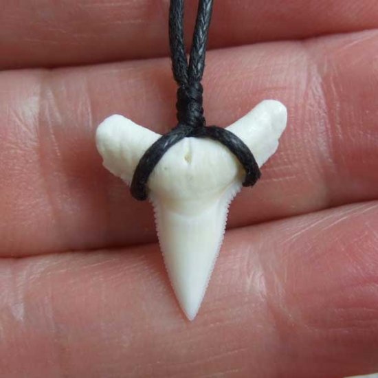 【表示現品】1.9.cm オオメジロザメの歯シンプルペンダント - BLN-12063