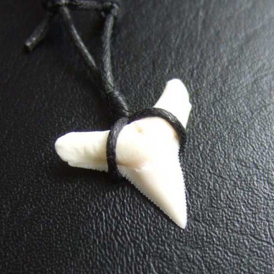 【表示現品】1.9.cm オオメジロザメの歯シンプルペンダント - BLN-12064