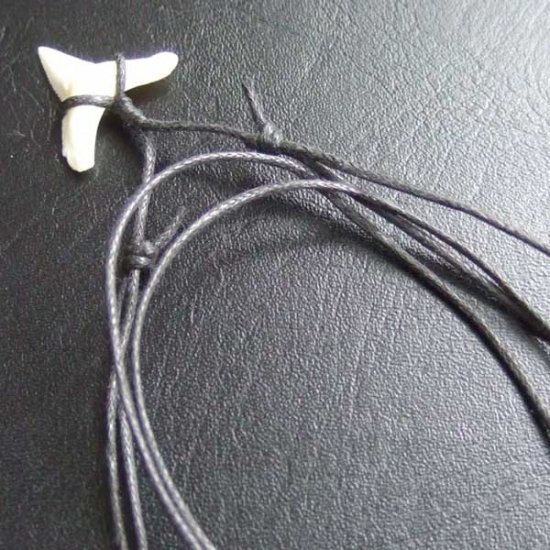 【表示現品】1.9.cm オオメジロザメの歯シンプルペンダント - BLN-12064