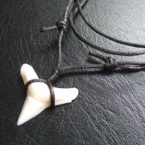 【表示現品】1.9.cm オオメジロザメの歯シンプルペンダント - BLN-12064