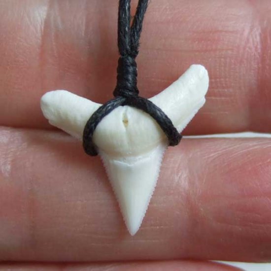 【表示現品】1.9.cm オオメジロザメの歯シンプルペンダント - BLN-12064