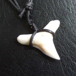 【表示現品】1.9.cm オオメジロザメの歯シンプルペンダント - BLN-12065  【表示現品】1.9.cm オオメジロザメの歯シンプルペンダント - BLN-12065