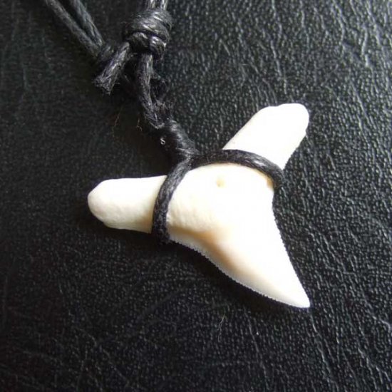 【表示現品】1.9.cm オオメジロザメの歯シンプルペンダント - BLN-12065