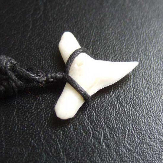 【表示現品】1.9.cm オオメジロザメの歯シンプルペンダント - BLN-12065