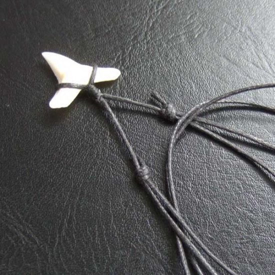 【表示現品】1.9.cm オオメジロザメの歯シンプルペンダント - BLN-12065