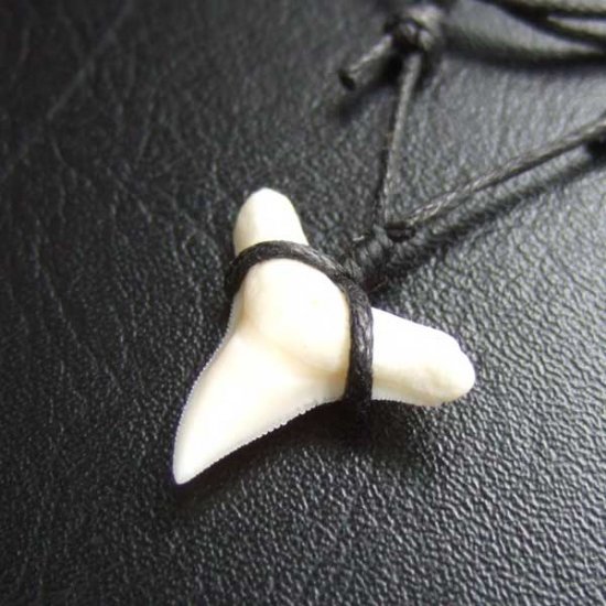 【表示現品】1.9.cm オオメジロザメの歯シンプルペンダント - BLN-12065