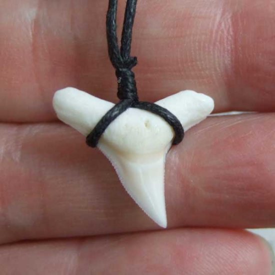 【表示現品】1.9.cm オオメジロザメの歯シンプルペンダント - BLN-12065