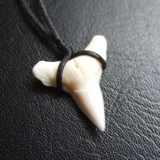 【表示現品】1.9.cm オオメジロザメの歯シンプルペンダント - BLN-12066