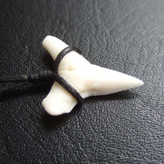 【表示現品】1.9.cm オオメジロザメの歯シンプルペンダント - BLN-12066