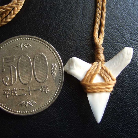 【表示現品】2.6cm 大型オオメジロザメの歯ペンダント - BLN-12075