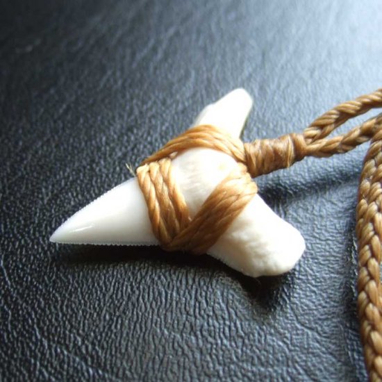 【表示現品】2.6cm 大型オオメジロザメの歯ペンダント - BLN-12075