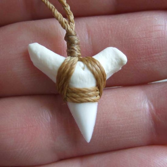 【表示現品】2.6cm 大型オオメジロザメの歯ペンダント - BLN-12075