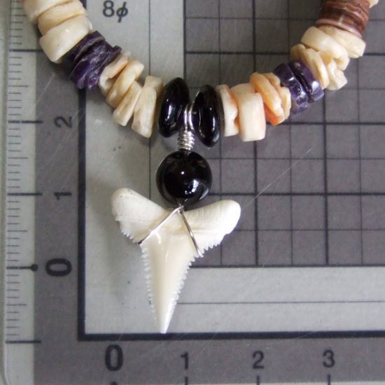 【表示現品】ホオジロザメの歯　ビーズブレスレット - GWN-10027