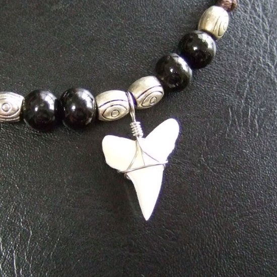 【現品】2.0cm マコシャーク　本物のサメの歯ペンダントネックレス - m20568zhb