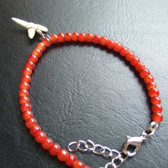 【表示現品】アオザメの歯　ビーズブレスレット - STB-13030