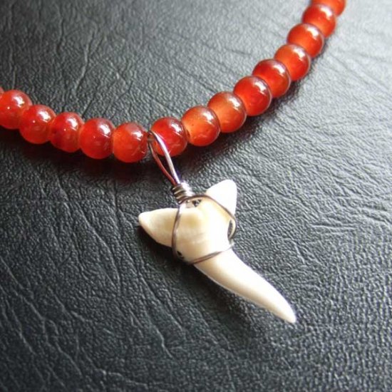 【表示現品】アオザメの歯　ビーズブレスレット - STB-13030