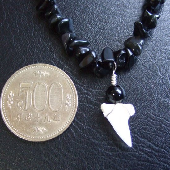 【表示現品】アオザメの歯　ビーズブレスレット - STB-15001