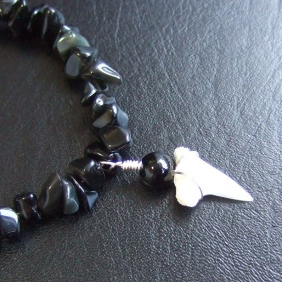 【表示現品】アオザメの歯　ビーズブレスレット - STB-15001