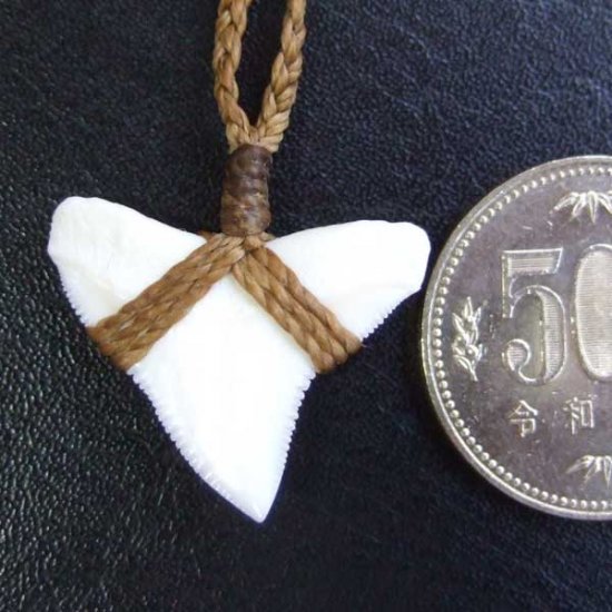 【表示現品】2.5.cm 大型オオメジロザメの歯ペンダント - STN-12055