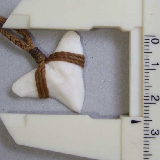 【表示現品】2.5.cm 大型オオメジロザメの歯ペンダント - STN-12055