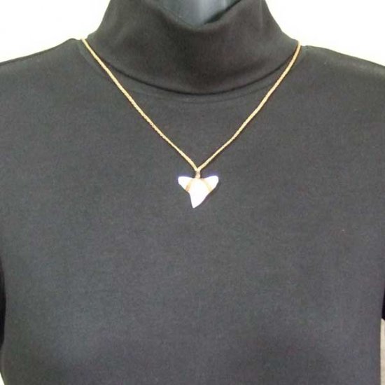 【表示現品】2.5.cm 大型オオメジロザメの歯ペンダント - STN-12055