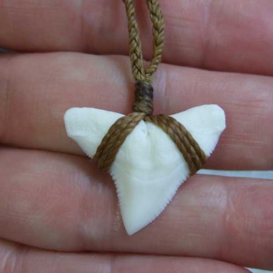 【表示現品】2.5.cm 大型オオメジロザメの歯ペンダント - STN-12055