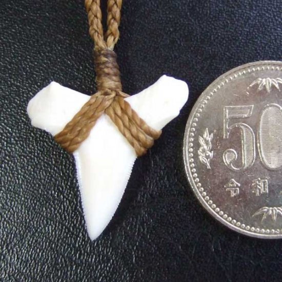 【表示現品】2.5.cm 大型オオメジロザメの歯ペンダント - STN-12056