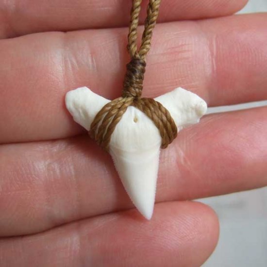 【表示現品】2.5.cm 大型オオメジロザメの歯ペンダント - STN-12056