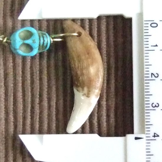 狼牙ビーズ付ペンダントトップ - 15085zhc