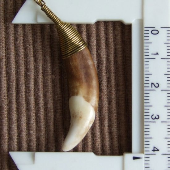 真鍮ワイヤラップ ビンテージ風狼ペンダントトップ - 15102zhc