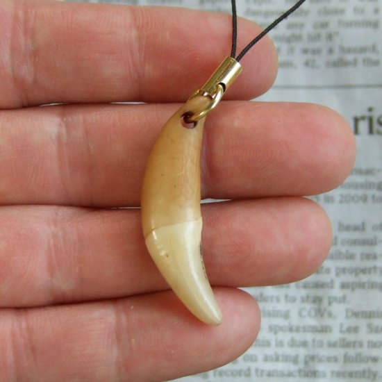 狼牙携帯ストラップ（中） - 15162zhc