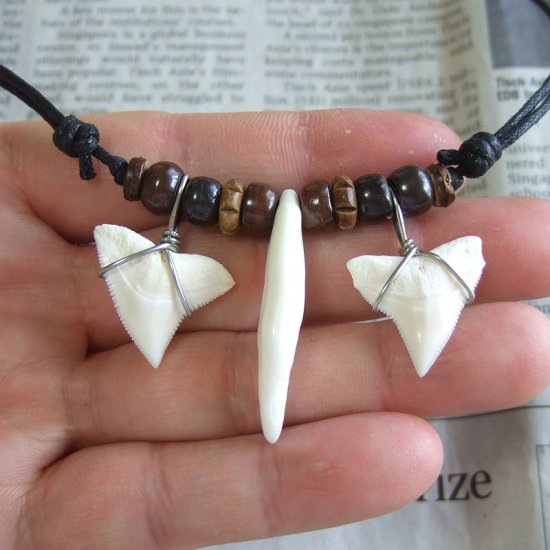 本物の牙とサメの歯コラボペンダント - 15192zhc