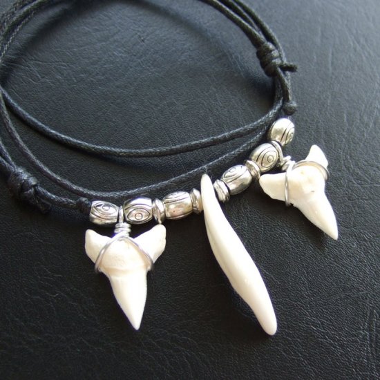 本物の牙とサメの歯コラボペンダント - 15193zhc