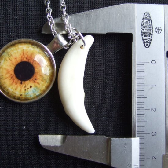 [表示現品] ウルフアイメダル付狼牙ペンダント大 (シルバー) - 15484zhb