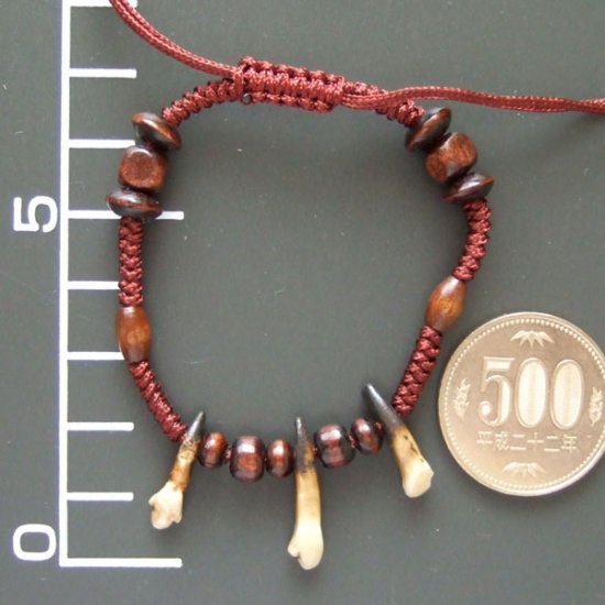 狼歯ブレスレット - 15701chc