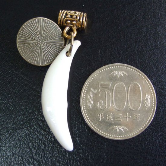 [表示現品] オオカミ柄ガラスメダル付狼牙ペンダント 小 - WTN-15017