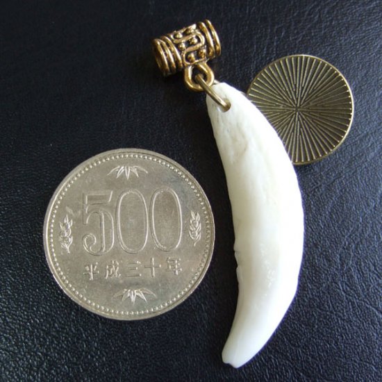 [訳あり現品] オオカミ柄ガラスメダル付狼牙ペンダント - WTN-15018