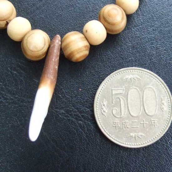 【表示現品】狼牙ビーズブレスレット - WTB-25040