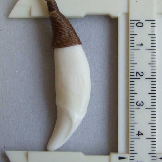 【表示現品】狼牙編み込みネックレス＜カーキコード　中サイズ＞ - WTN-15057